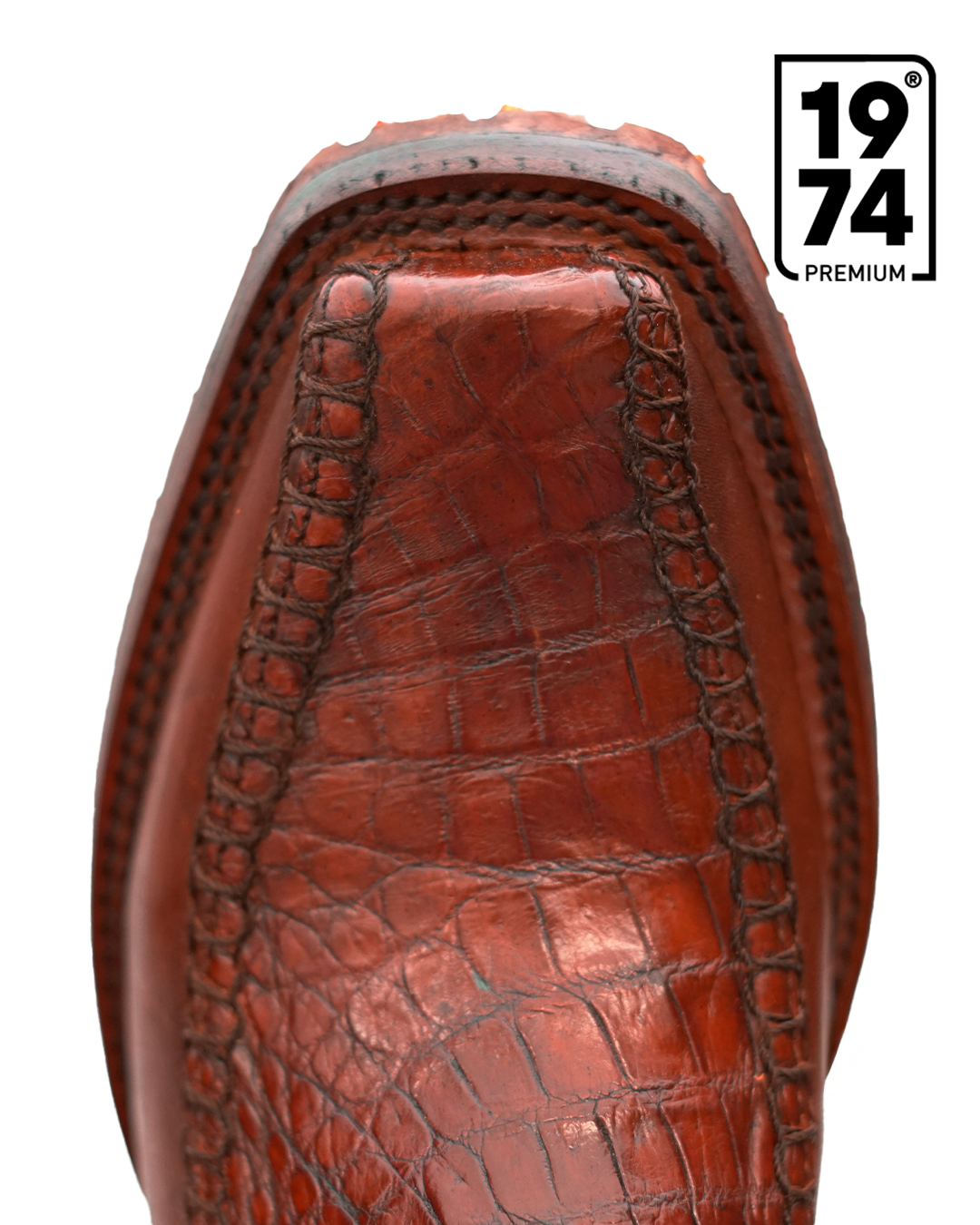 Mesa de trabajo 1 (1) Cocodrilo - Image 4