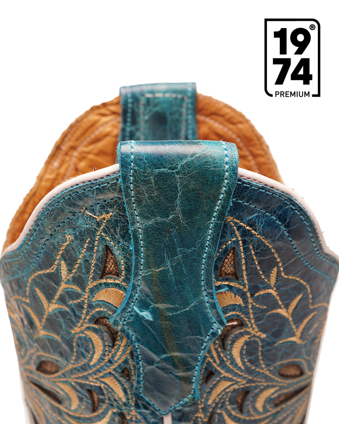 Mesa de trabajo 1-1 (8) Verde Azul - Image 4